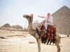 egypt-camel.jpg egypt-camel.jpg