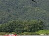 fr3g6586-2 fr3g6586-2