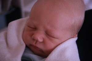 Nash Hamrick Halt arrives safely